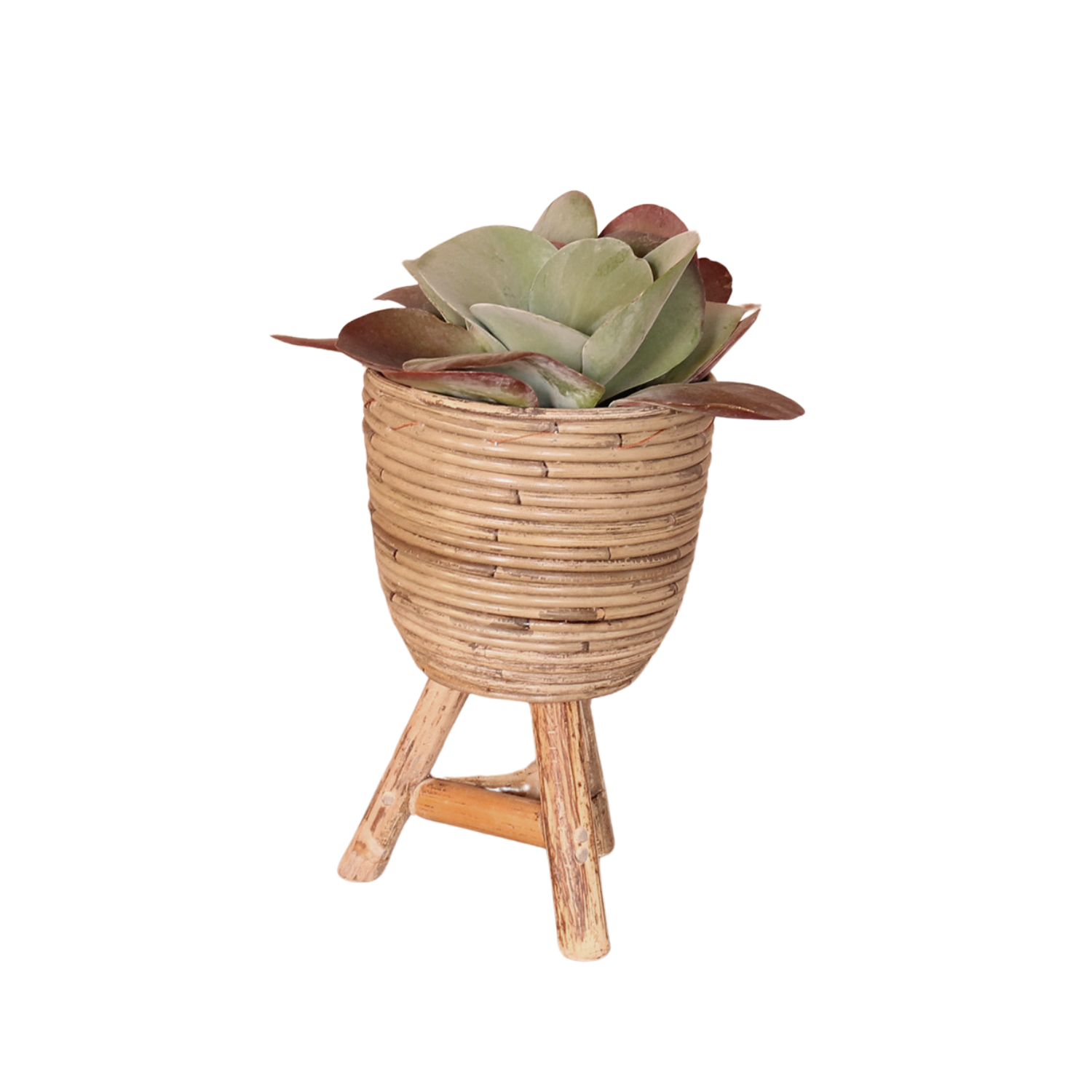 Pot De Fleur Bambou
