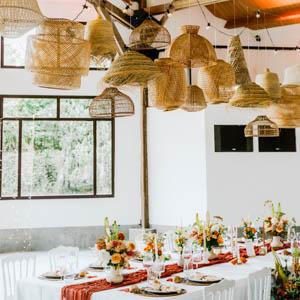 SUS DIV 027 2026 02 Raphia Luicen 1 L 