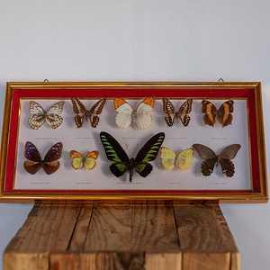 SAL OBJ 149 2025 1 L