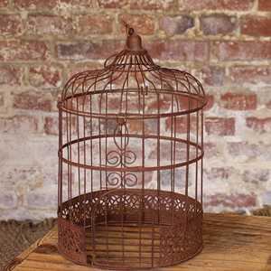 SAL OBJ 155 2025 2 L