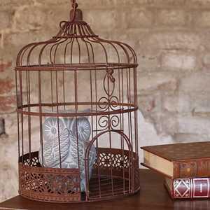 SAL OBJ 156 2025 2 L