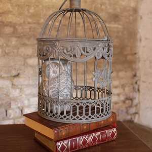 SAL OBJ 156 2025 3 L