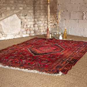 SAL TEX 162 2025 3 L