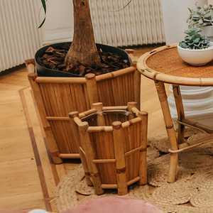 SAL VAS 162 2023 12 L