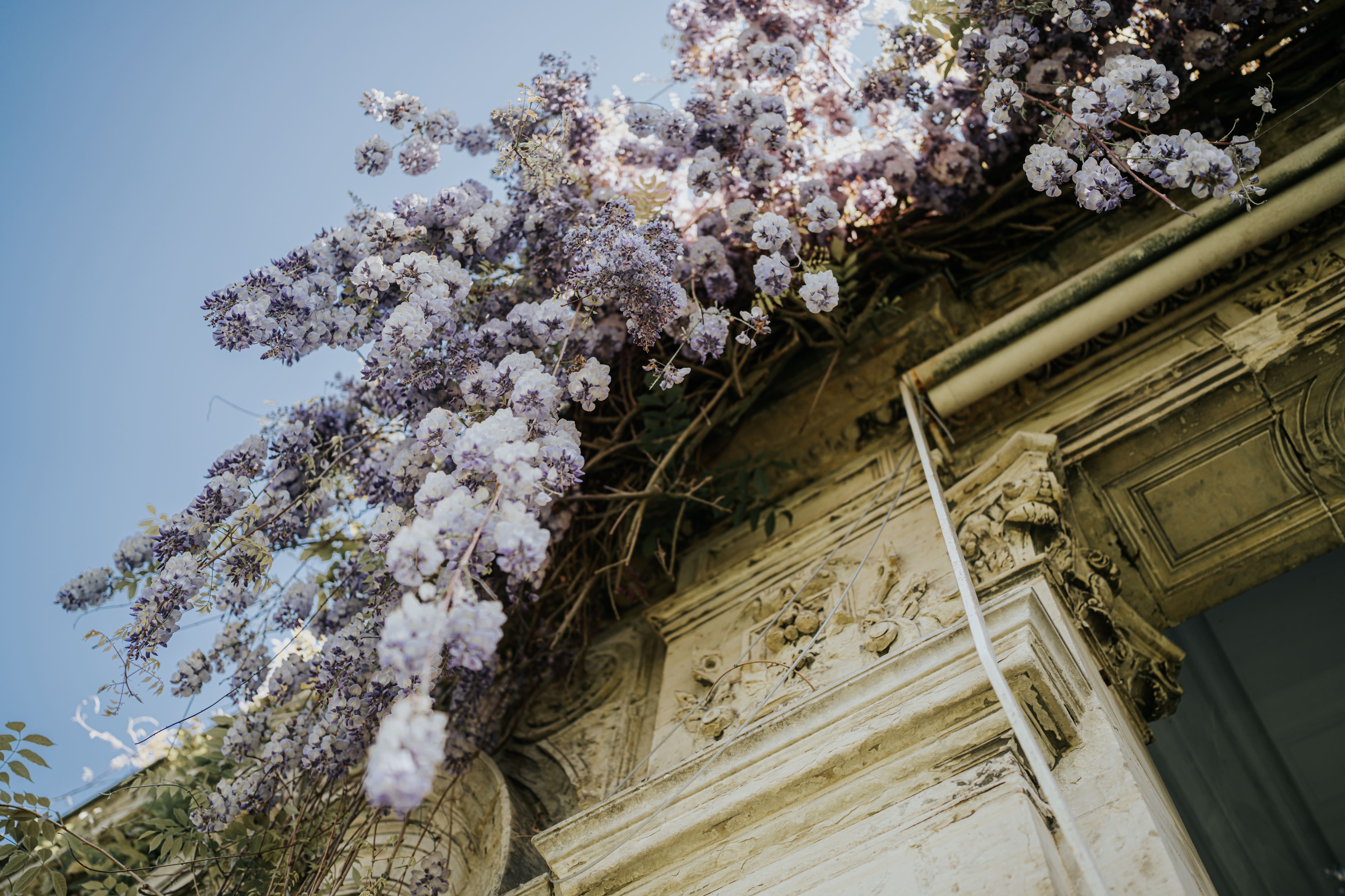 0003 Shooting Inspiration   Chateau D Aubry 3