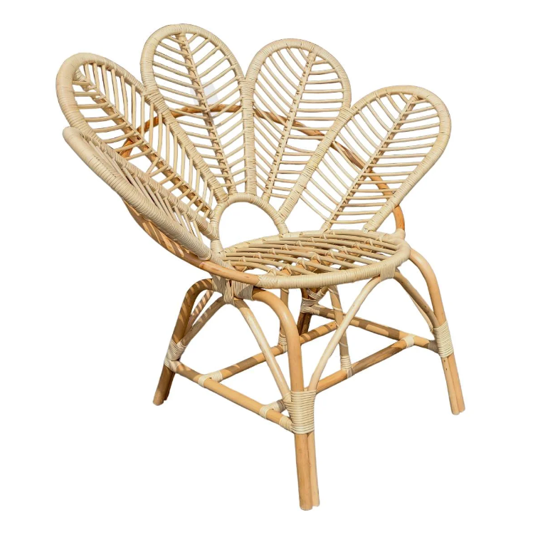 Capture D E Cran 2026 01 27 A 12 21 55