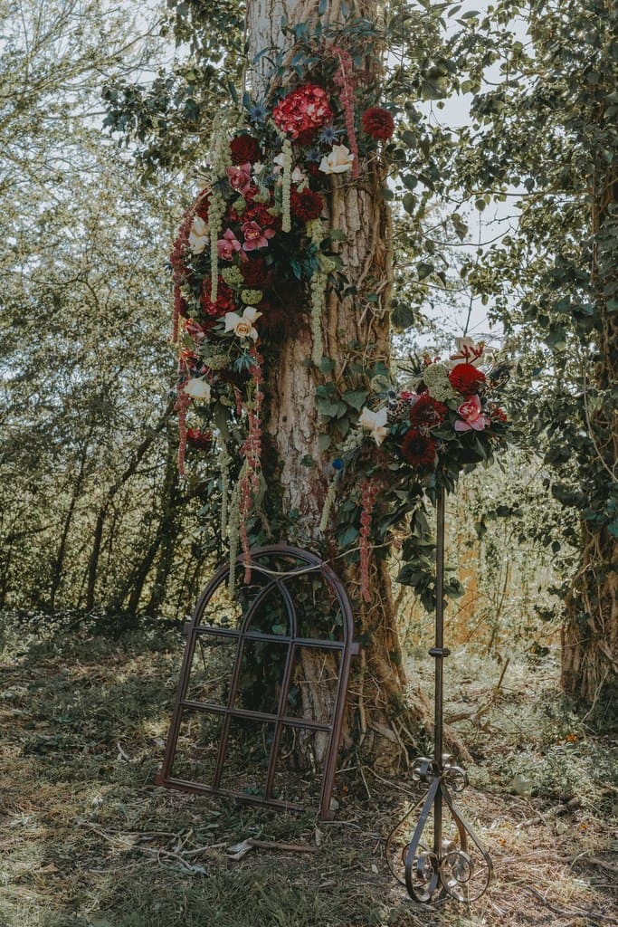 Shooting Art Nouveau Les Explorateurs De La Com354